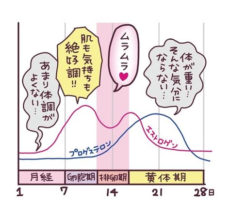 生理周期 ムラムラ|生理中や前にムラムラ性欲が高まるのはなぜ？原因や対処法を解。